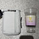 메가세이프 | 브랜든 세이프 플러스 월렛백 내돈내산 후기 | 여행 가방으로 충분한가?!