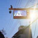 선곡초교 이미지