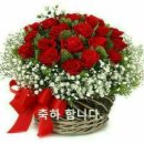 청송아재님.등불님 두분님 게시판지기님으로 모셨습니다. 이미지