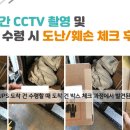 호야, 내아이 이미지