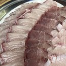 인천 계양구 횟집 돼지네회포장마차 역시 대방어 방어회 맛집