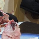 영통구청 맛집 삿뽀로 참치 후기