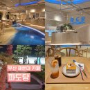 센스쟁이 - 청주시 청원구 향군로41번길 11-1 | 부산 해운대 늦게까지 하는 오션뷰 신상 카페 파도당 내돈내산 후기