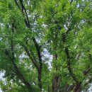 소사로794번길 이미지