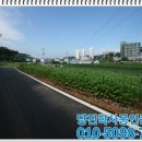 통정1리 이미지
