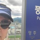금생인삼사