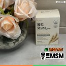 MSM | 식물성MSM 후기, 30대부터 식이유황 몰트MSM으로 관절 건강 미리 챙겨야 하는 이유