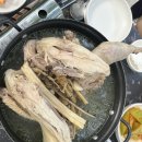 닭튜브 이미지