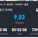 대모천 네이버블로그