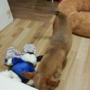 모카세탁소 이미지