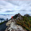 &#34;걸어보니 진짜네요 명품숲길 30선 선정길&#34; 중년층에 인기 좋은 7.86km 트레킹 명소 이미지