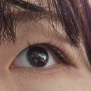 주식회사 젬소(GEMSHO) | 속눈썹 영양제 후기