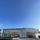 5월 가족토요체험 프로그램 우리를 위한 유리컵만들기 | 대부도 아이랑 갈만한곳 그린티플 딸기체험 모래놀이