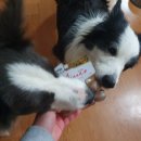 으뜸덴탈 이미지