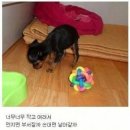 애지중지 이미지