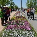 동천민박 이미지