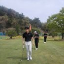 WG골프랜드 이미지