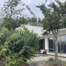 비고리조트 9 이미지