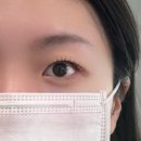 양덕동199 | [포항_ 우아현뷰티] 대만족한 포항 속눈썹 펌 | 포항 속눈썹 펌 잘하는 곳 | 장성동 우아현뷰티 펌...