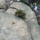 용장1리 이미지