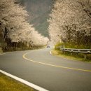 섬진강낚시 티스토리