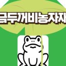 금두꺼비 이미지