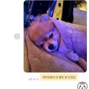 물참면옥