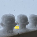 천안상회 - 천안시 서북구 원두정10길 3 | 천안상회