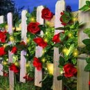 다다 태양광 이미지