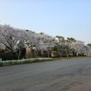 청룡카랜드 이미지