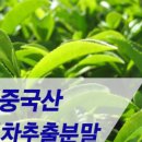 다온보이차 이미지