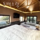 성산 동백소랑 이미지