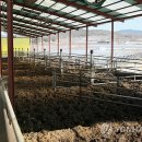 손대성축사 이미지