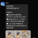 블루밍 플라워 앤 가든 이미지