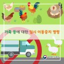 돼지농장 이미지