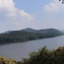 금강칼국수 이미지