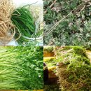 프라임큐넷 이미지