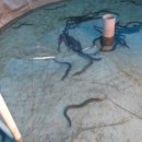 단강낚시터 이미지