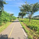 산호대교~옥계동 이미지