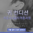 귀건강이혈테라피 이미지