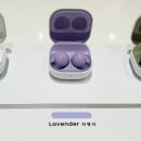 버즈 지디넷코리아