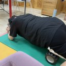 칠곡 태전동헬스(_40대후반 아이셋주부 뱃살 15키로감량후기)홀리핏