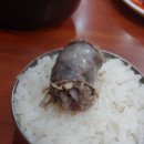 텃골순대국
