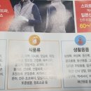 에이스숙녀복