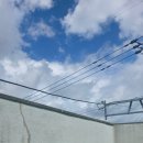 포포 스테이 이미지