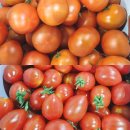 토마토당구장 이미지