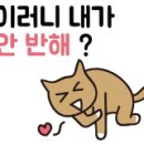 하누돈정육점 이미지