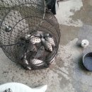 감악산낚시터 이미지