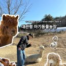 매정농장 | 동물들을 만져보고 먹이도 줄 수 있는 강원도여행 강릉아이랑 가기 좋은 대관령 아기동물농장 방문후기