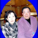 안경미인 이미지